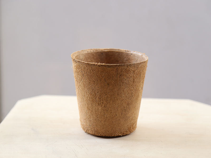 COCO POT 6”