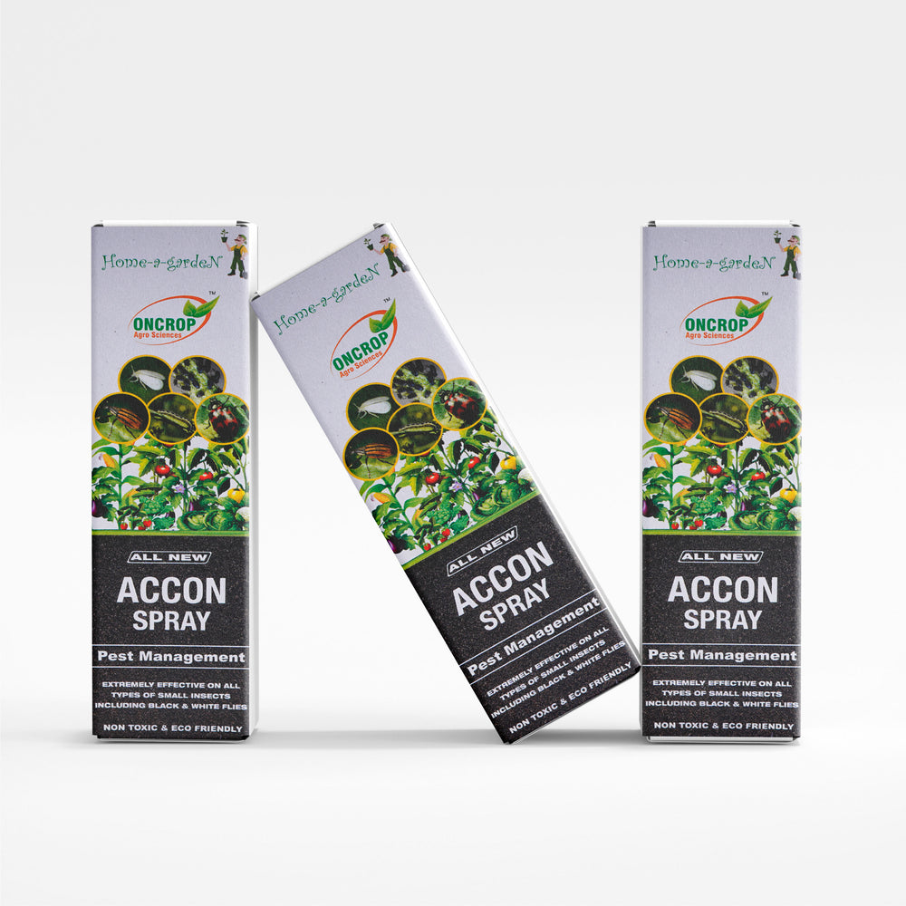 Accon Spray