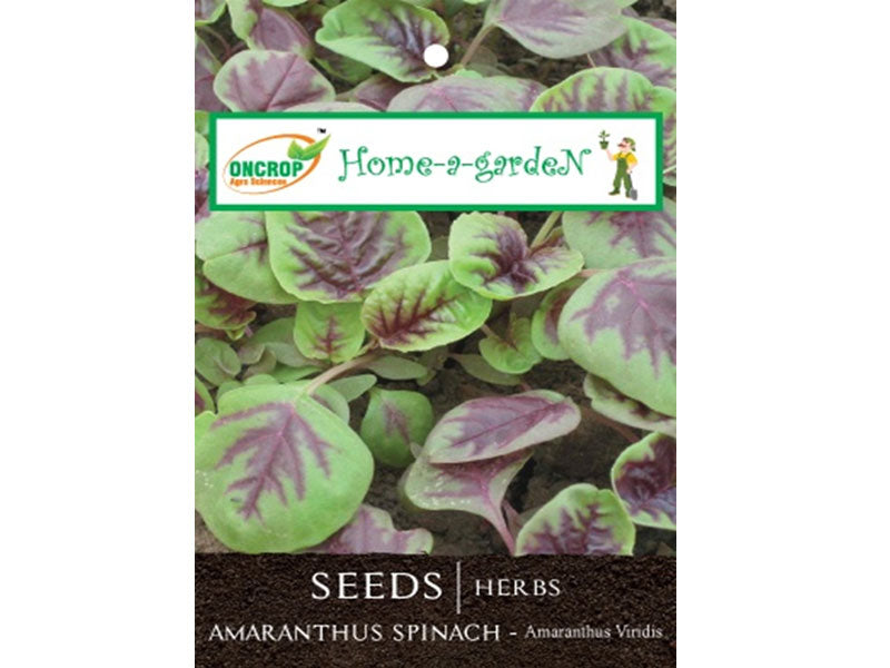 AMARANTHUS SPINACH