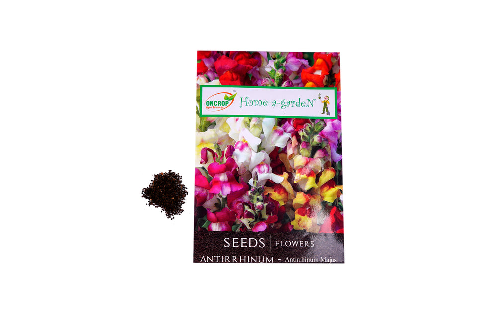 Antirrhinum Seeds