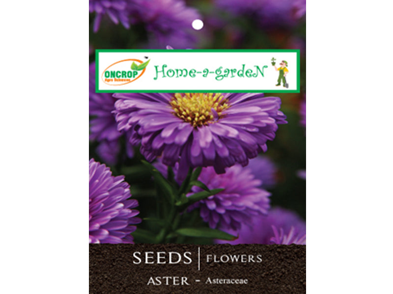 ASTER