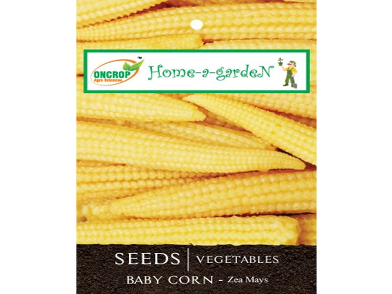BABY CORN