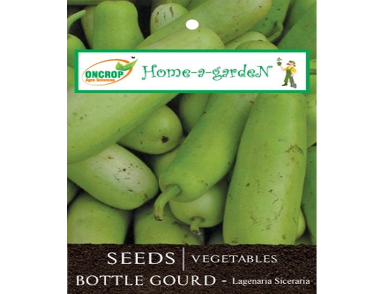 BOTTLE GOURD