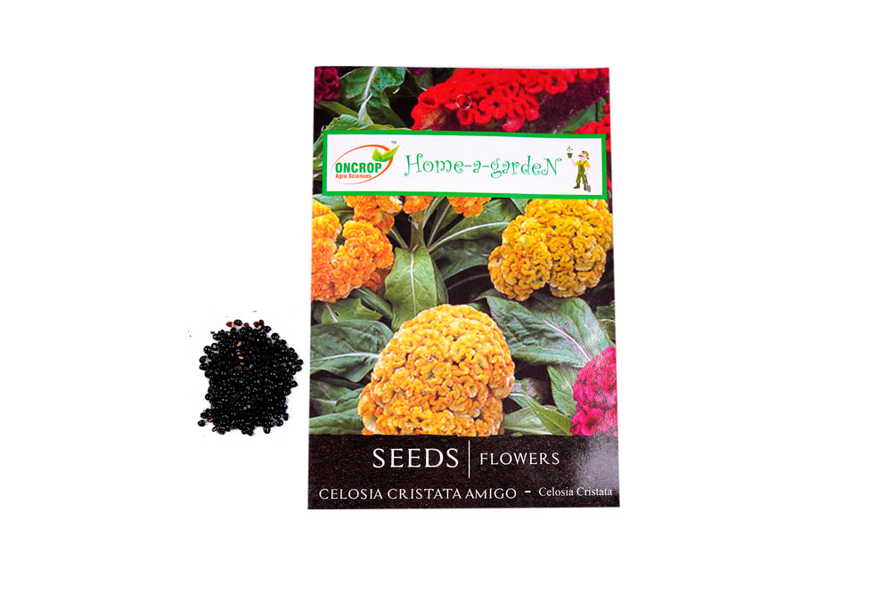 C.C. Amigo Seeds