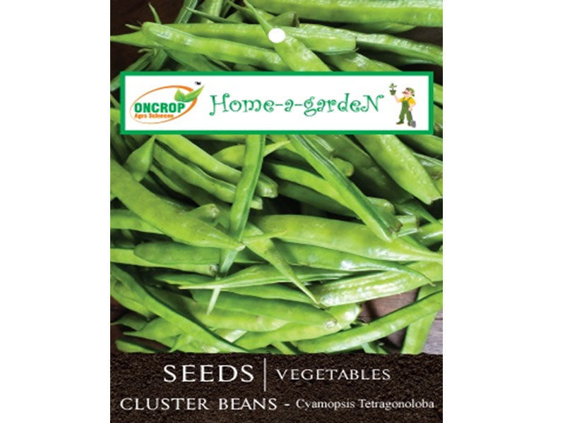 CLUSTER BEANS