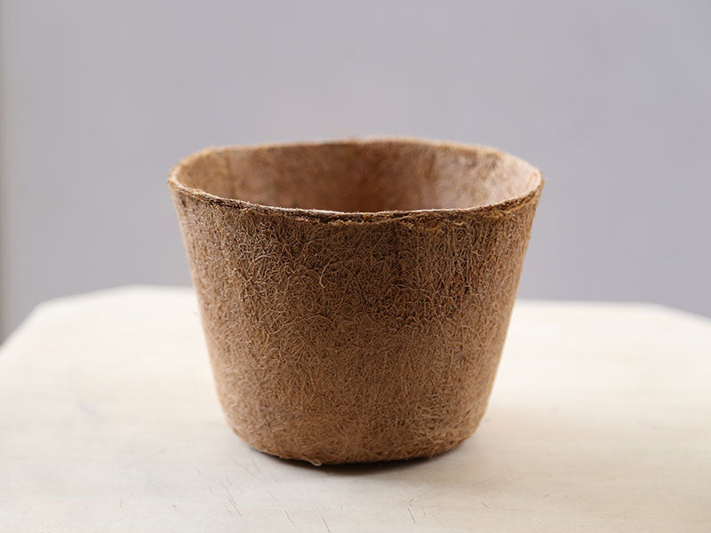 COCO POT 8”