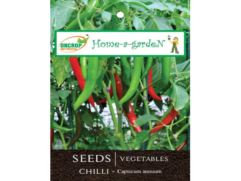 Chilli