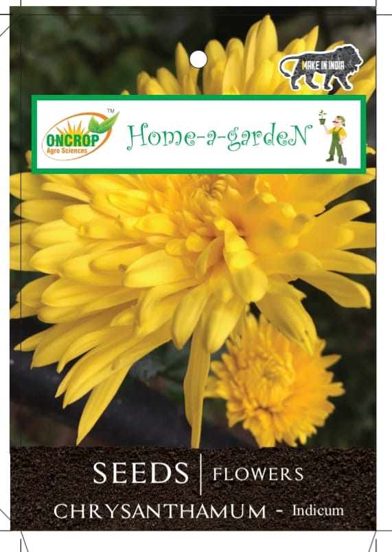 Chrysanthemum Seeds