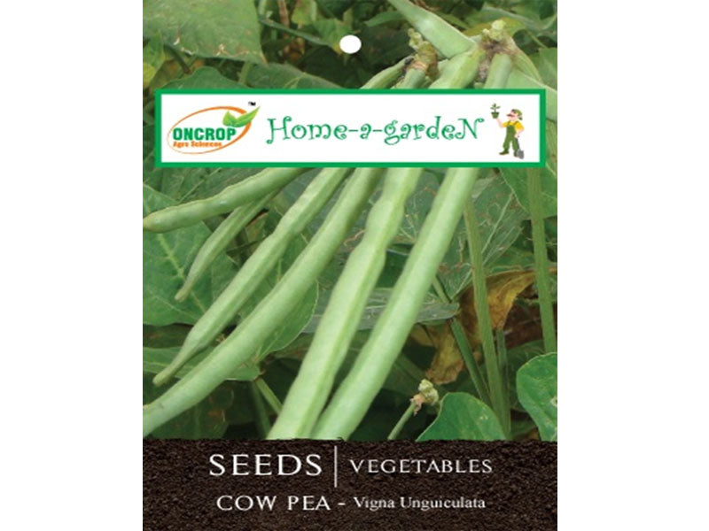 Cow Pea