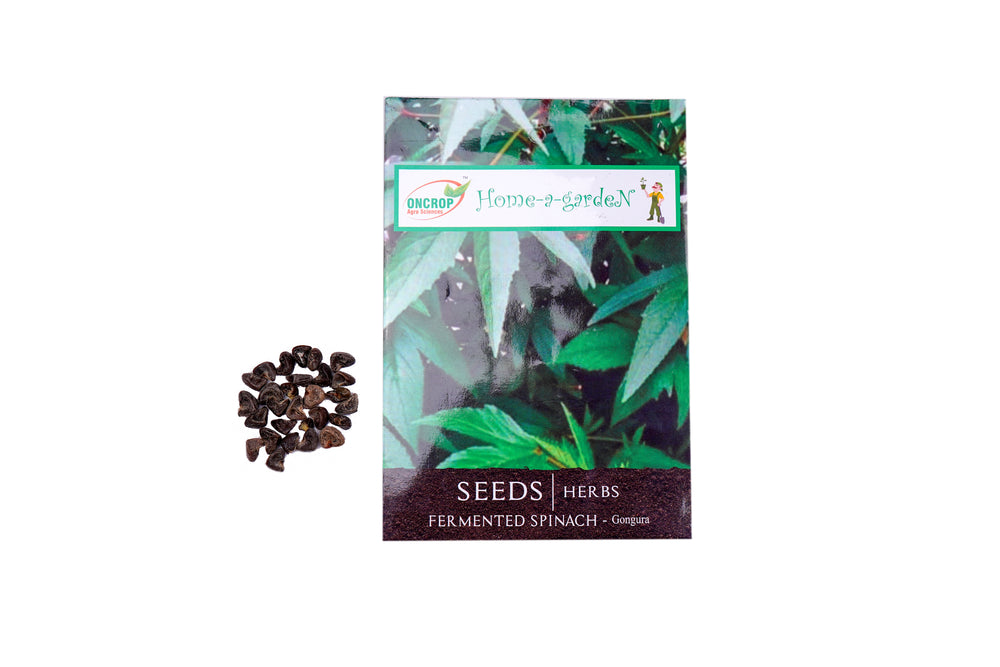 Fermented Spinach Seeds