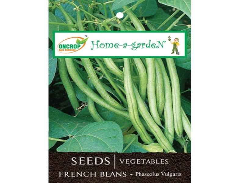 FRENCH BEANS