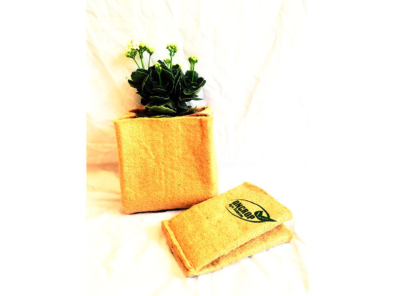10 inch Jute grow bags