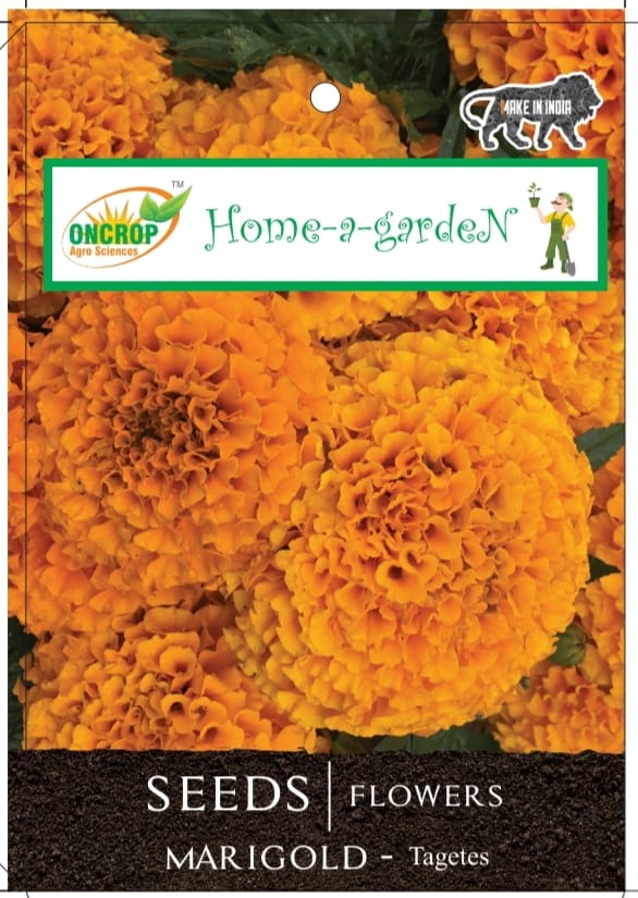 Marigold Seeds