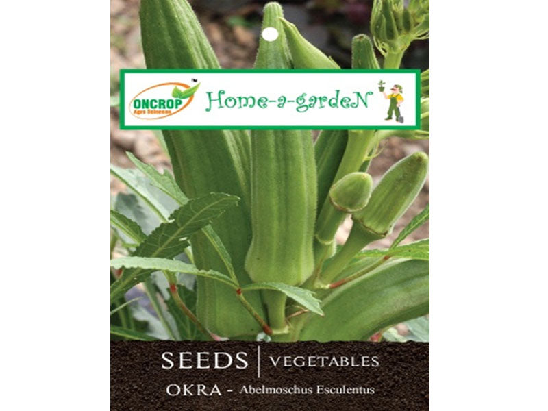 Okra