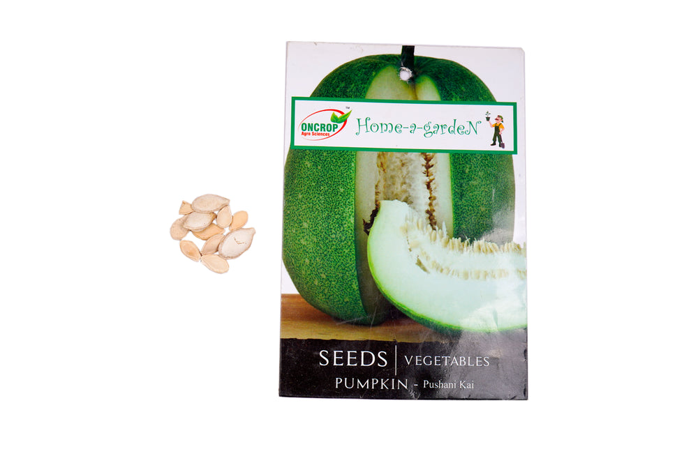 Pumpkin Seeds