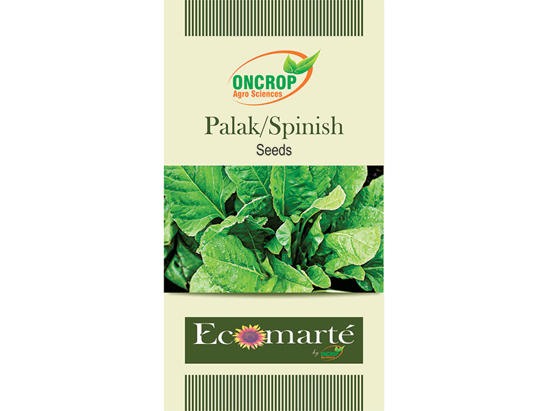 Palak / Spinish