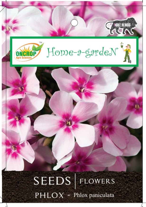 Phlox Seeds