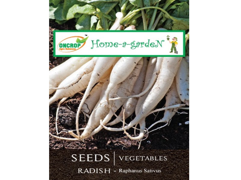 RADISH