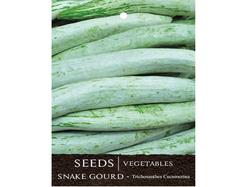 SNAKE GOURD