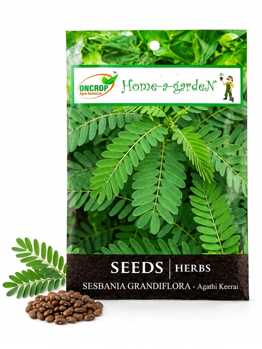 Sesbania Grandiflora Seeds