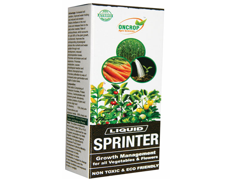 Sprinter