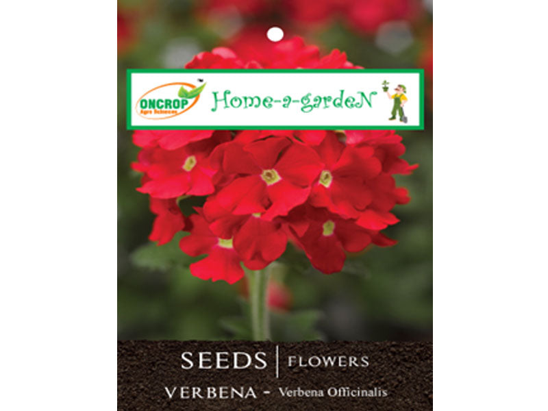 VERBENA