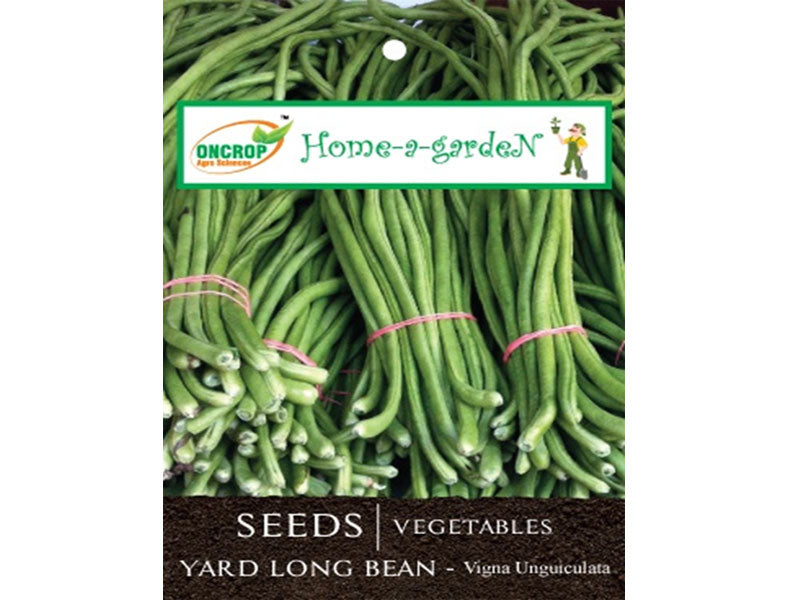 YARD LONG BEAN