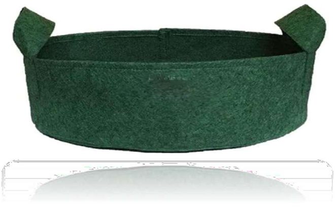 Geo Fabric Grow Bags 10 × 10