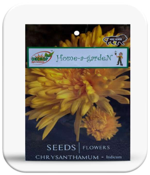 Chrysanthemum Seeds
