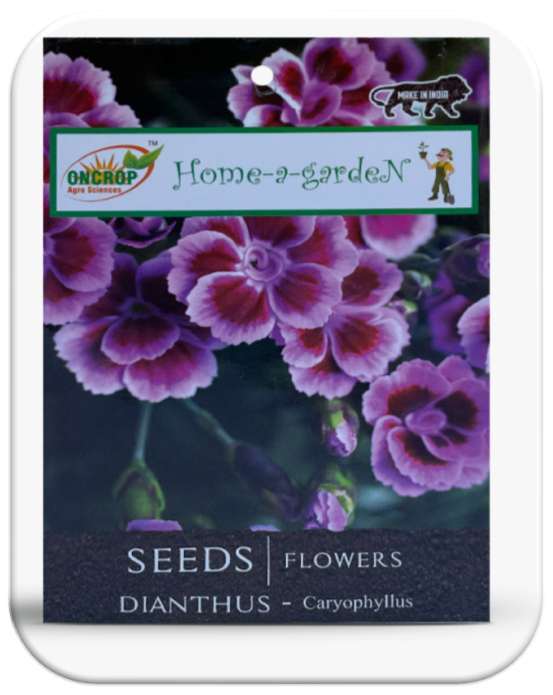 Dianthus Seeds