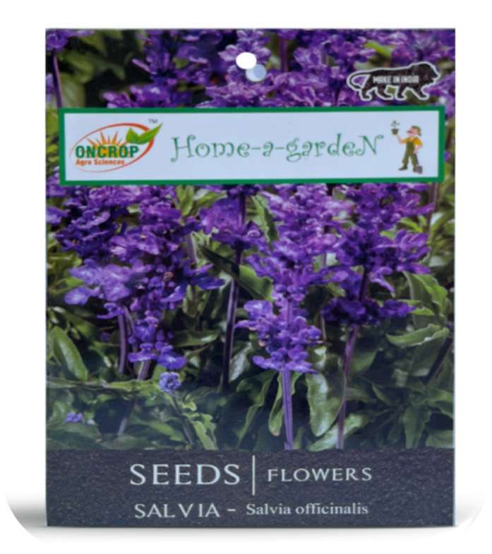 Salvia Seeds