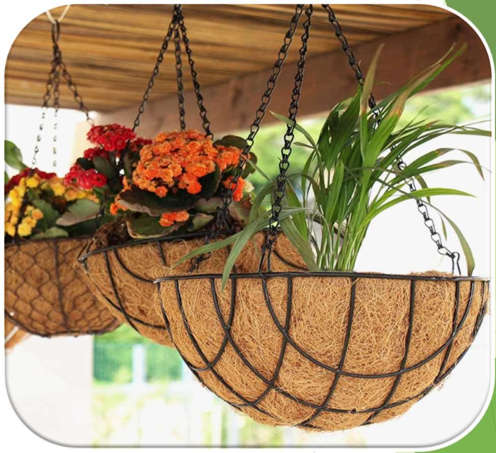 Flowers and foliage growing in coir hanging baskets